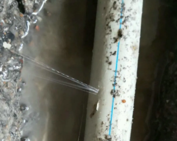 殷都卫生间测漏水多少钱